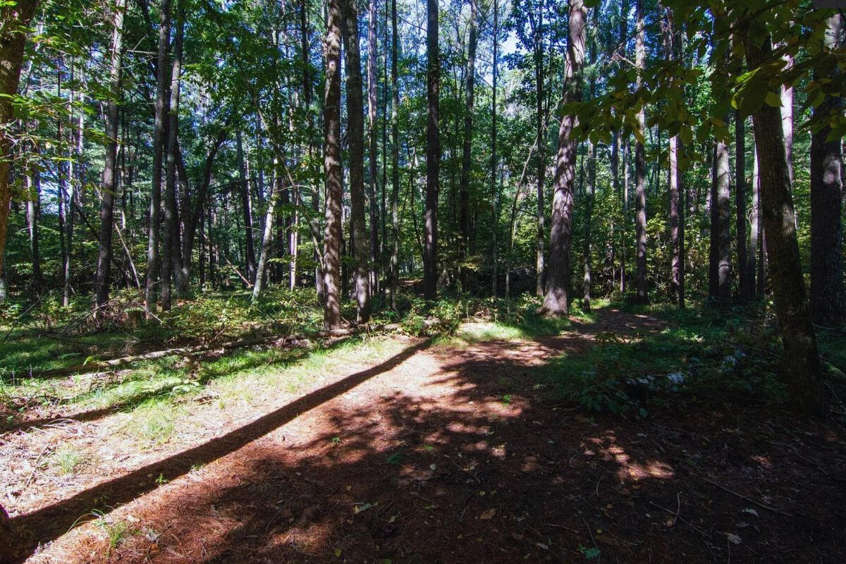 Highway Sloped - Alpine Cir Breezy Point, MN 56472, USA