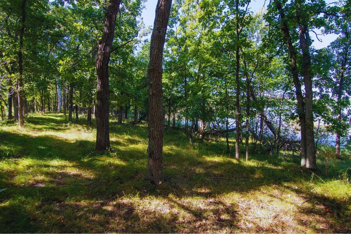 Highway Sloped - Alpine Cir Breezy Point, MN 56472, USA