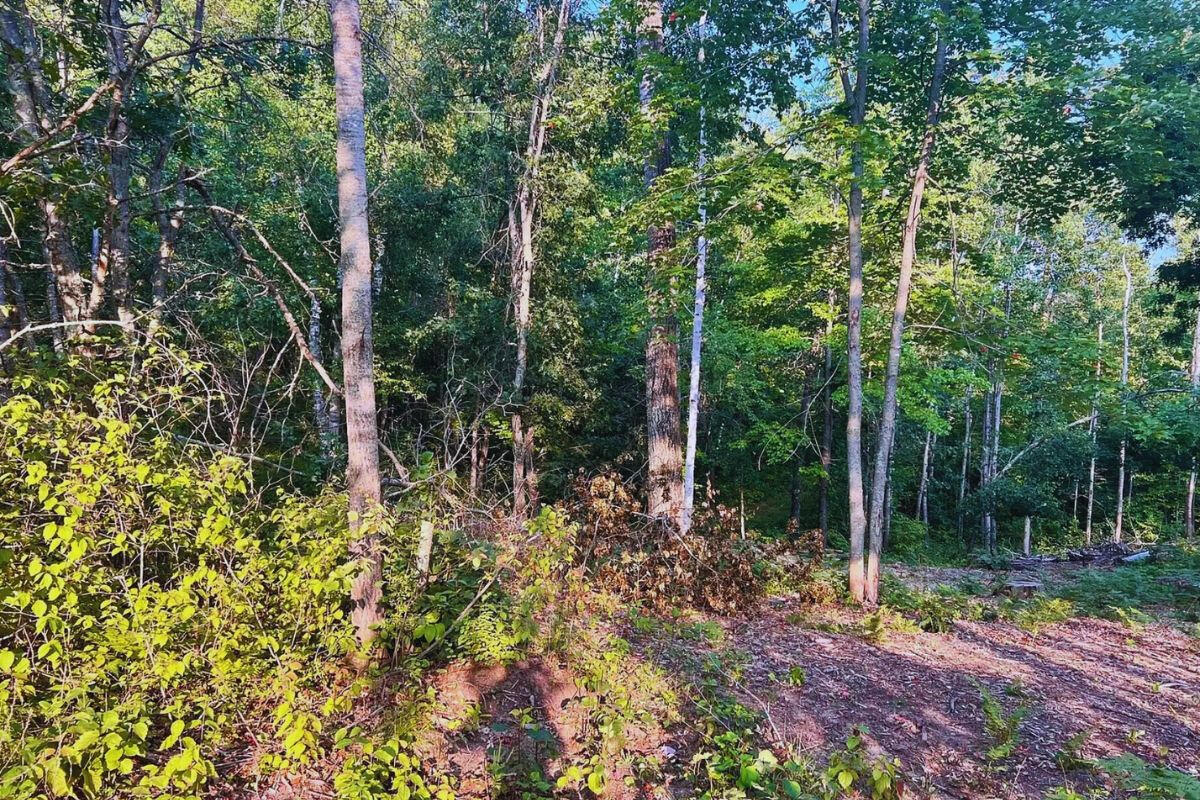 Highway Sloped - Alpine Cir Breezy Point, MN 56472, USA